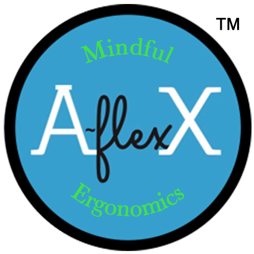 A~flexX Assist Arm